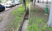 Аким Алматы поручил восстановить арыки