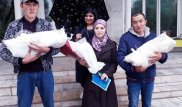 Ждала тройняшек, родила двоих - кыргызстанка не верит врачам