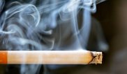 5 тысяч кальянных могут закрыться после запрета на курение - ресторатор