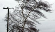 В Нур-Султане и двух областях объявили штормовое предупреждение