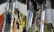Фиксация позвоночника. Девушку, на которую упала пальма, выписали из больницы