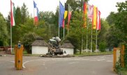 Два льва напали на работника зоопарка в Германии