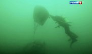 На дне Баренцева моря нашли затонувший в 1945 году советский боевой корабль