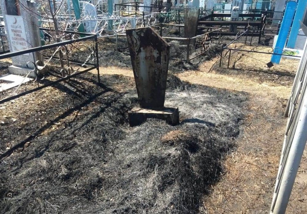 Кладбище сожгли в Петропавловске