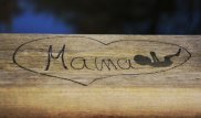 Маман ЭКО мен инсеминацияның айырмашылығын ажыратып берді