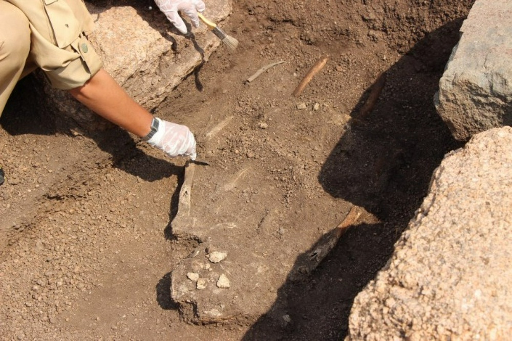 Археологи проверят сотни курганов на пути строительства БАКАД