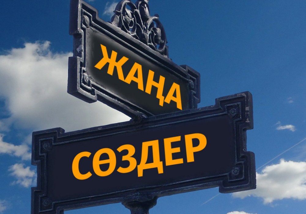 Хайп, фидбэк, фандом. Жаңа сөздер енген сөздік қашан шығады