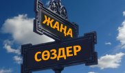 Хайп, фидбэк, фандом. Жаңа сөздер енген сөздік қашан шығады