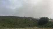 Водой потушить невозможно - акимат о пожаре близ Алматы