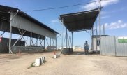 Названа предварительная причина пожара на мусорном полигоне под Алматы