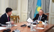 Нурсултан Назарбаев принял Жакипа Асанова