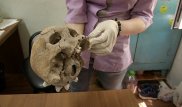 Представителей казахской интеллигенции могли расстрелять под Алматы