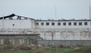 В аркалыкскую зону "мясников" впервые поместили девушку