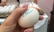 Яйца "позвали" казахстанцев на выборы