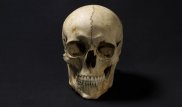 Воссоздано лицо человека, жившего 1300 лет назад