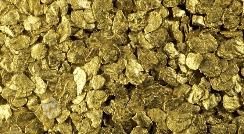 В Австралии обнаружены грибы, выделяющие золото: 26 мая 
