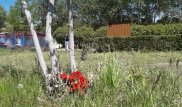 Цветы несут к месту трагедии с батутом в Караганде