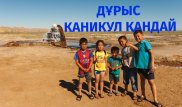 Баланың мектепке деген ынтасын жоғалтпай өткізетін каникул қандай