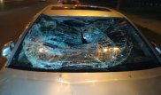 Водитель Lexus сбил двух пешеходов в Алматы