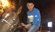 "Избивали лошадей плеткой". Двух мужчин оштрафовали в Алматы