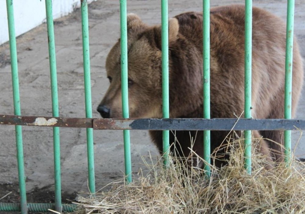 Фото пресс-службы ДУИС Костанайской области