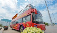 В день выборов экскурсии на туристических автобусах Red Bus будут бесплатными