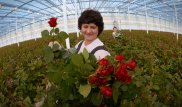 Благодаря строительству теплиц в Экибастузе появится 550 новых рабочих мест