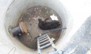 Упавшую в колодец собаку спасли в Семее
