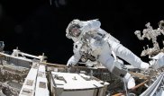 Чем будет питаться на МКС космонавт из ОАЭ, рассказала шеф-повар