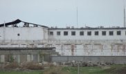 Что известно об аркалыкской "зоне мясников"