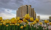 Габидулла Абдрахимов сравнил Шымкент с Нур-Султаном и Алматы