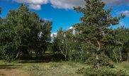 "Одна рука не знает, что должна делать другая" - Назарбаева об экологии в Казахстане