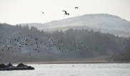 На Земле хотят создать первую "зону без времени"