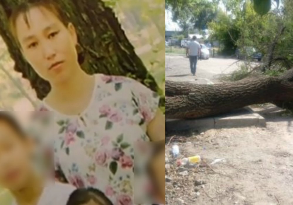 Многодетную мать убило упавшее дерево в Алматы. Подробности трагедии