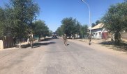 Люди пытаются вернуться в свои дома в Арыси - Шукеев