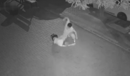 Видео избиения женщины возмутило пользователей Казнета