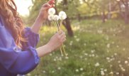 Маусымдық аллергиядан қалай айығуға болады