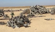 Минобороны начало расследование из-за видео с боеприпасами
