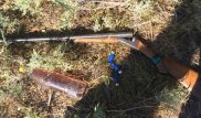 В охоте на сайгаков подозреваются 2 жителя ЗКО