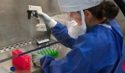 Обнаружен неизвестный смертельный вирус