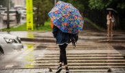Дожди прогнозируют в Казахстане