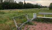Кульгинов попросил астанчан помочь в преображении бесхозных парков