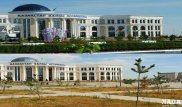 В Актау "реанимируют" высохшую зелень после фото в СМИ