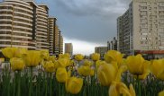 Девушек в Шымкенте не воруют - Габидулла Абдрахимов
