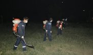 В столице продолжаются дезинсекционные работы против мошек и комаров