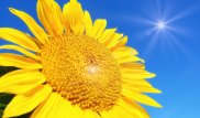 Жаркие выходные обещали казахстанцам