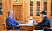 Токаев принял председателя Верховного суда
