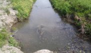3-летняя девочка утонула в арыке в Туркестанской области