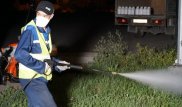 В каких районах столицы травят комаров