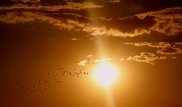 Казахстанцев предупредили об очень сильной жаре